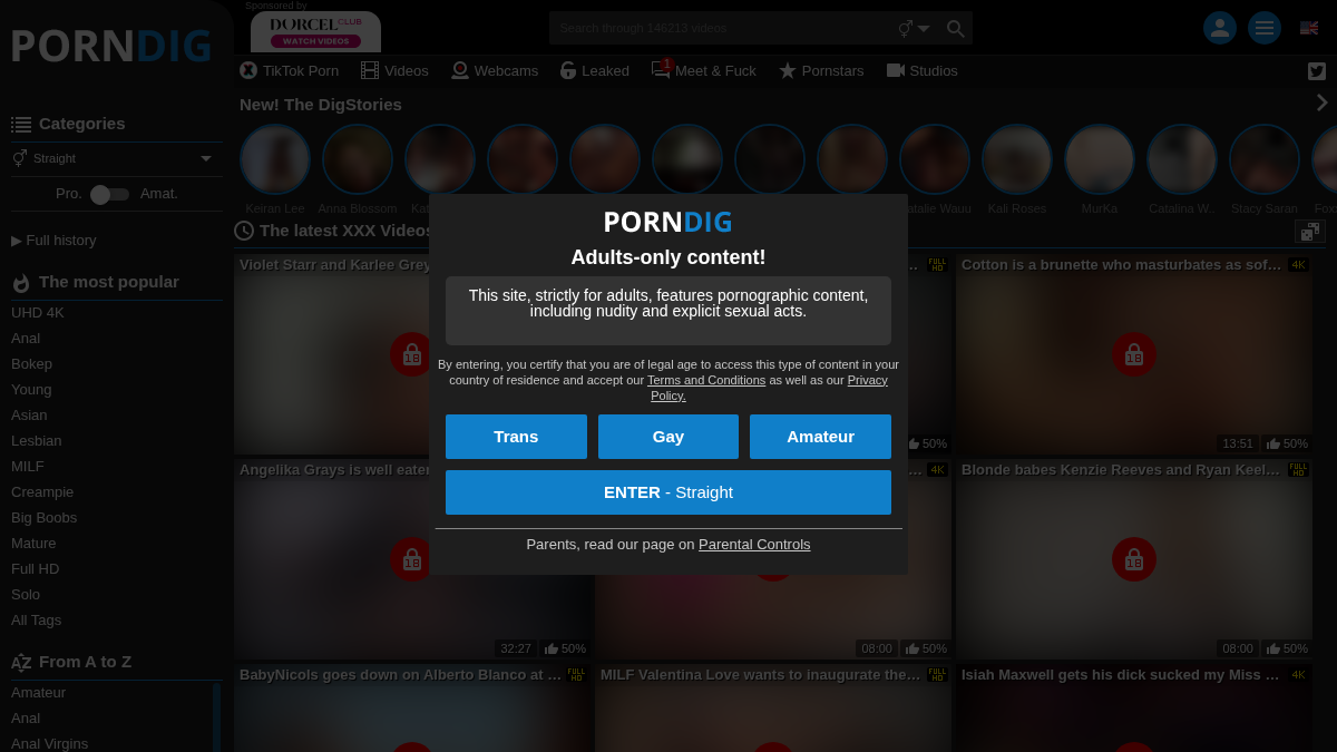 PornDig · Anteprima di